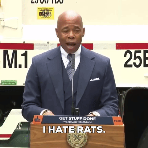 I Hate Rats