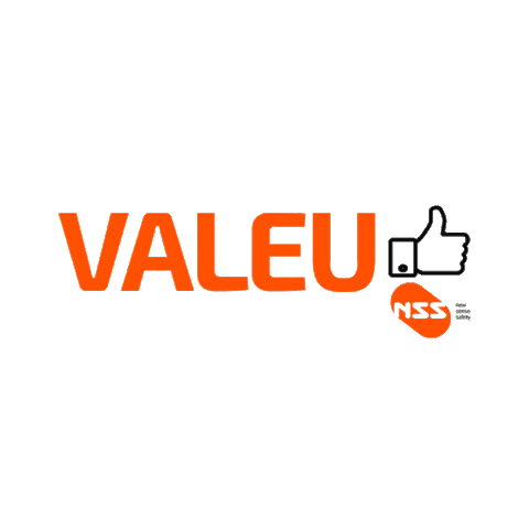 newsensesafety giphyupload joinha valeu nss Sticker