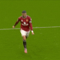 Premier League Goal GIF by Manchester United