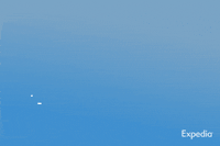 Travel GIF by Expedia