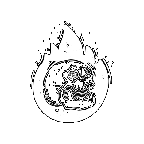 hi_rafarafa fire skull still fogo Sticker