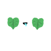 Kehaunoeau Sticker