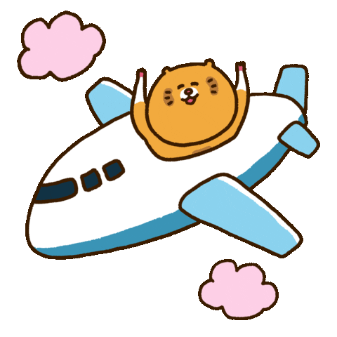 dududung giphyupload travel airplane 여행 Sticker