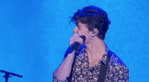 shawn mendes nyre 2018 GIF by New Year's Rockin' Eve