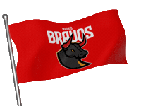 Flag Elf Sticker by Madrid Bravos