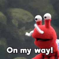 Crab Running GIF by Aquarium of the Pacific