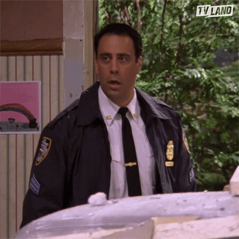 Everybody Loves Raymond What GIF by TV Land