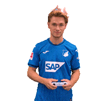 Sport Bundesliga Sticker by TSG Hoffenheim