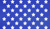 United States Usa GIF by Canticos World