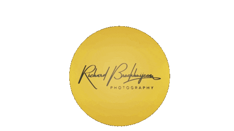 Bfotografienl giphyupload bphotographynl Sticker