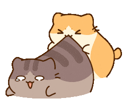 Cat Play Sticker by Bichi Mao