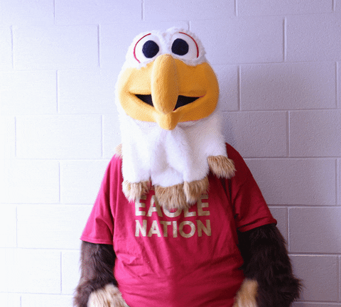 Excited GIF by Bridgewater College