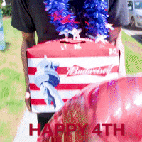 Independence Day Happy 4Th GIF by LuckyView
