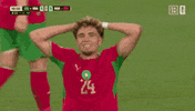 World Cup Ugh GIF by DAZN