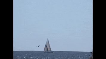 The Best Is Yet To Come Sisters GIF by Hunter Daily