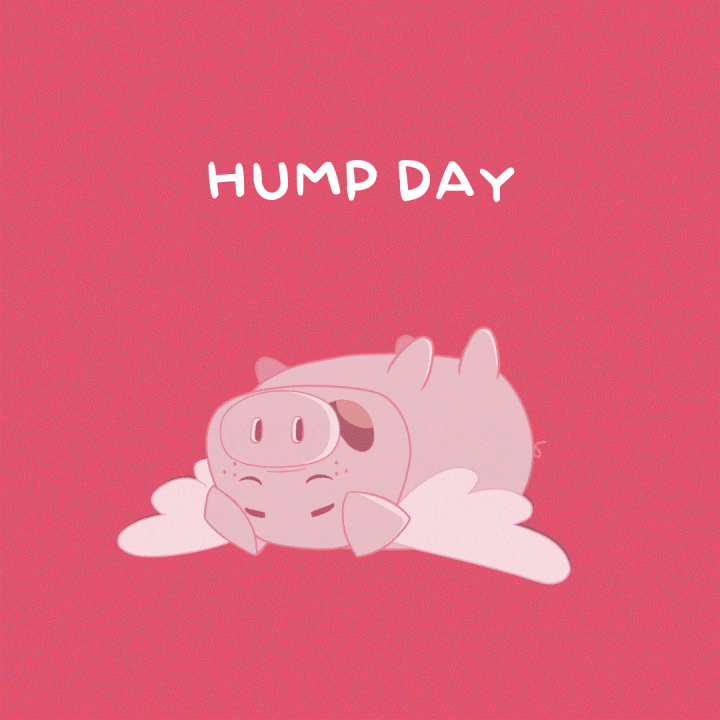 Tired Flying Pig GIF by PositivelyPigasus