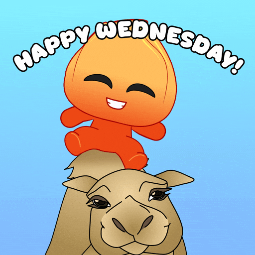 Wednesday Keep Smiling GIF by Playember