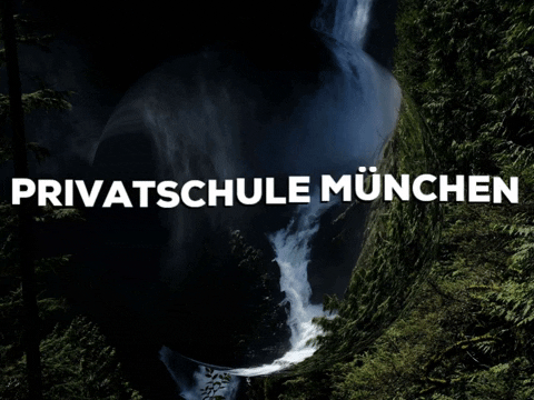 Happy Laugh GIF by PrivatschulenPORTAL.de