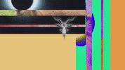 Art Video GIF by jorgemariozuleta