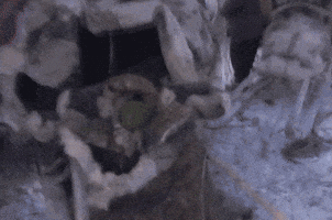 birth how kosta was born GIF