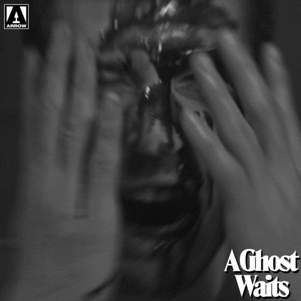 Freaking Out GIF by Arrow Video