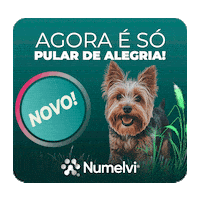 Numelvi Sticker by MSD Família Pet