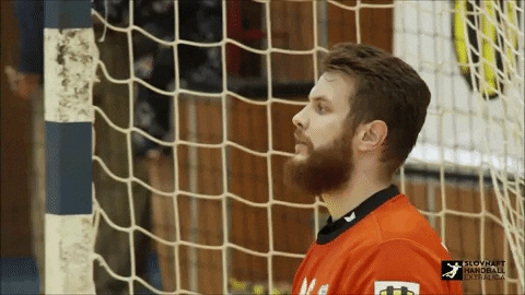 konecna sheplayoff GIF