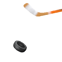 Goal Hockey Sticker by Kal Tire