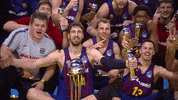 come on basketball GIF by ACB