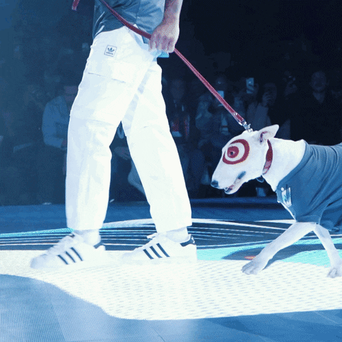 Minnesota United Sport GIF by Major League Soccer