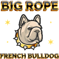 Rope Sticker by Brenfi