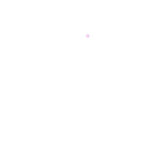 Star Sticker