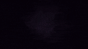 Dragon Borderlands GIF by MentalMars