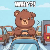 Angry Road Rage GIF by BEARISH