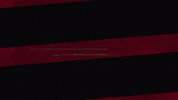 Western Sydney Wanderers Wsw GIF by wswanderersfc