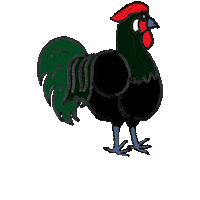 Chicken Rooster Sticker