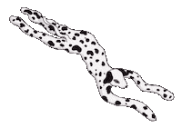 Happy Dance Sticker by Gizenth