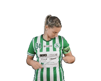 Floorball Fbsbohemians Sticker by Český florbal