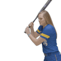 swing softball Sticker by Delaware Blue Hens