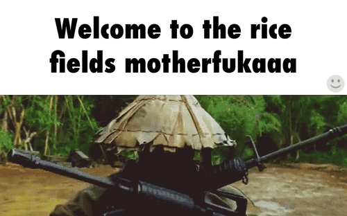 rice GIF