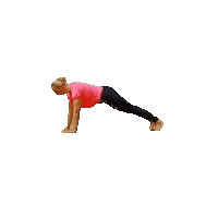 Pushup Grosskreutz Sticker by Verena