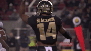 Jeffbrohm Boilerfootball GIF by Purdue Sports