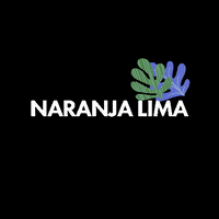 naranjalimaflores naranjalima GIF