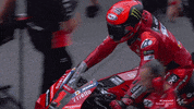 Pole Position Sport GIF by MotoGP