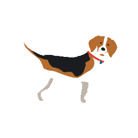 Pet Food Dogs Sticker by Nature's Select Pet Food