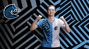 Fists Win GIF by BS+COMPETITION