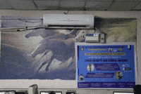 White Hat Hacker GIF by karthikeyan V