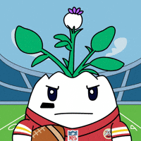 Kansas City Chiefs Win GIF by Magic Eden