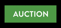 Auction Bhgre GIF by Better Homes and Gardens Real Estate Australia