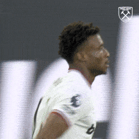 Premier League Football GIF by West Ham United